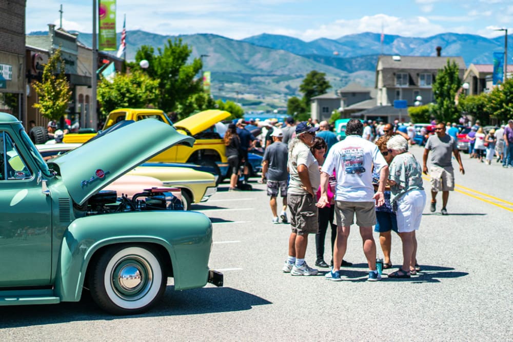 2022 Best in Show Winner