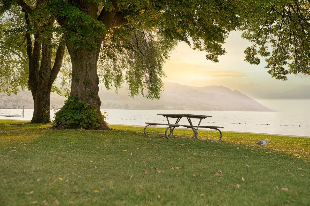 Kids playing on a lakeside playground in the Lake Chelan Valley